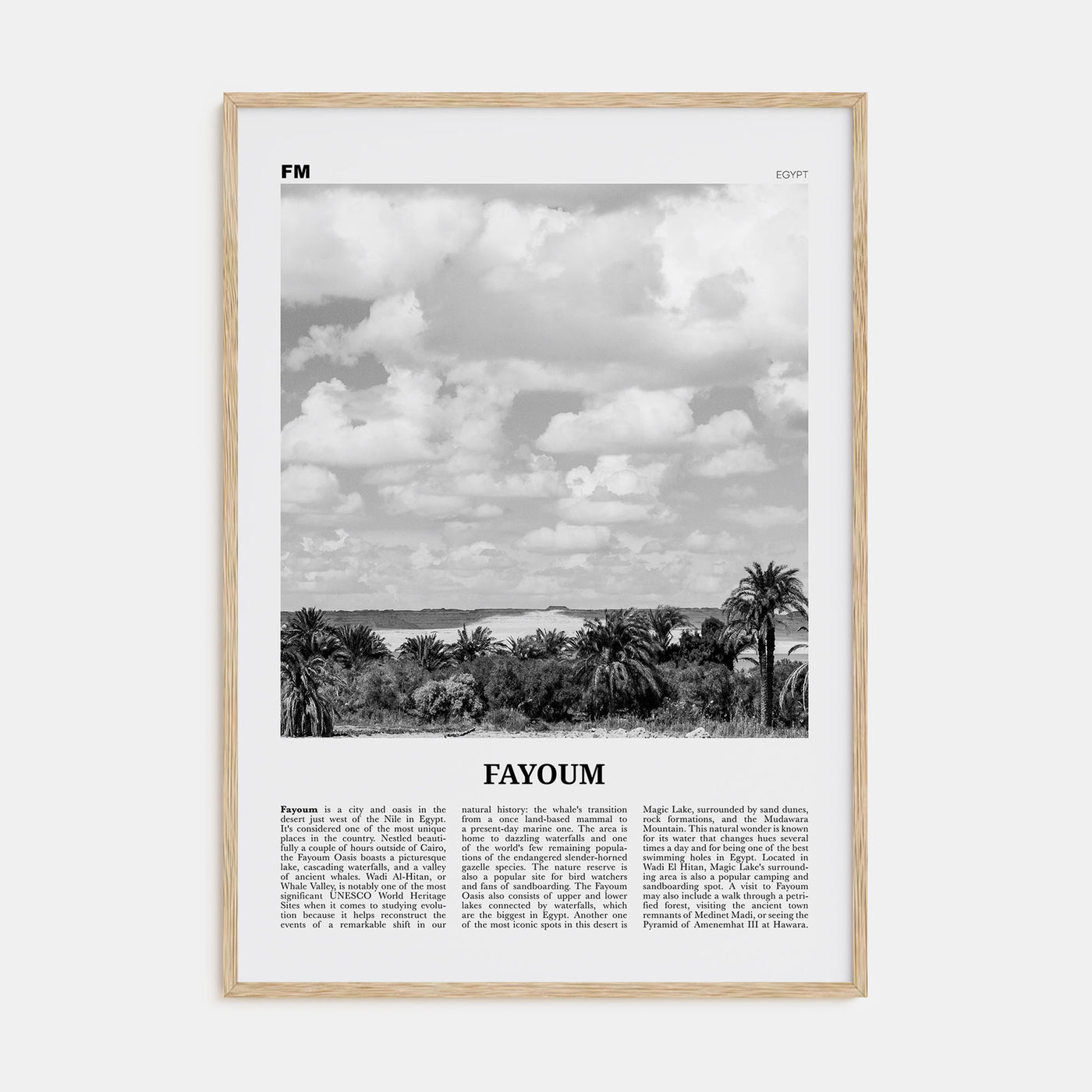Fayoum Travel B&W Poster