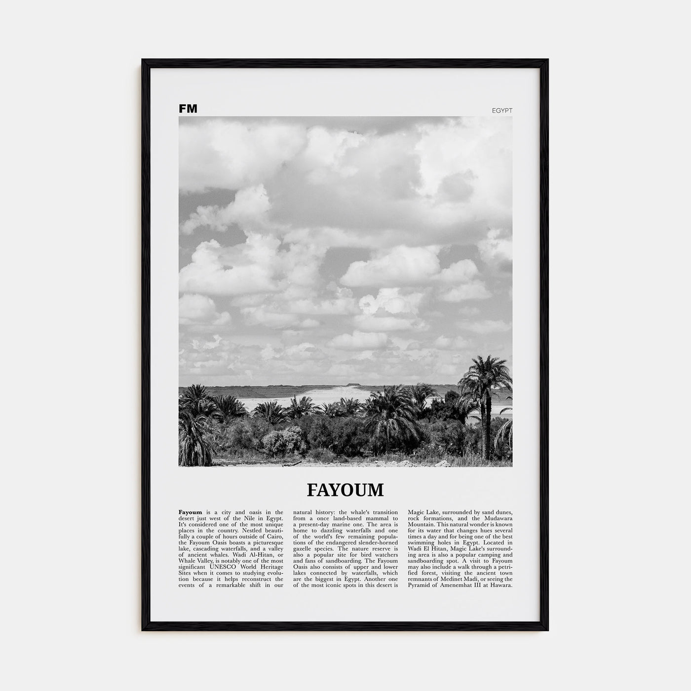 Fayoum Travel B&W Poster