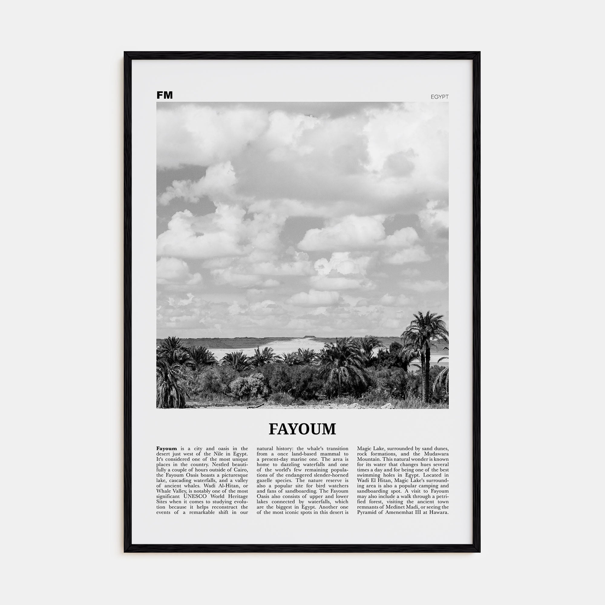 Fayoum Travel B&W Poster