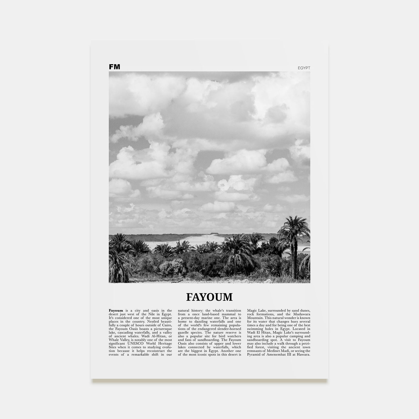 Fayoum Travel B&W Poster
