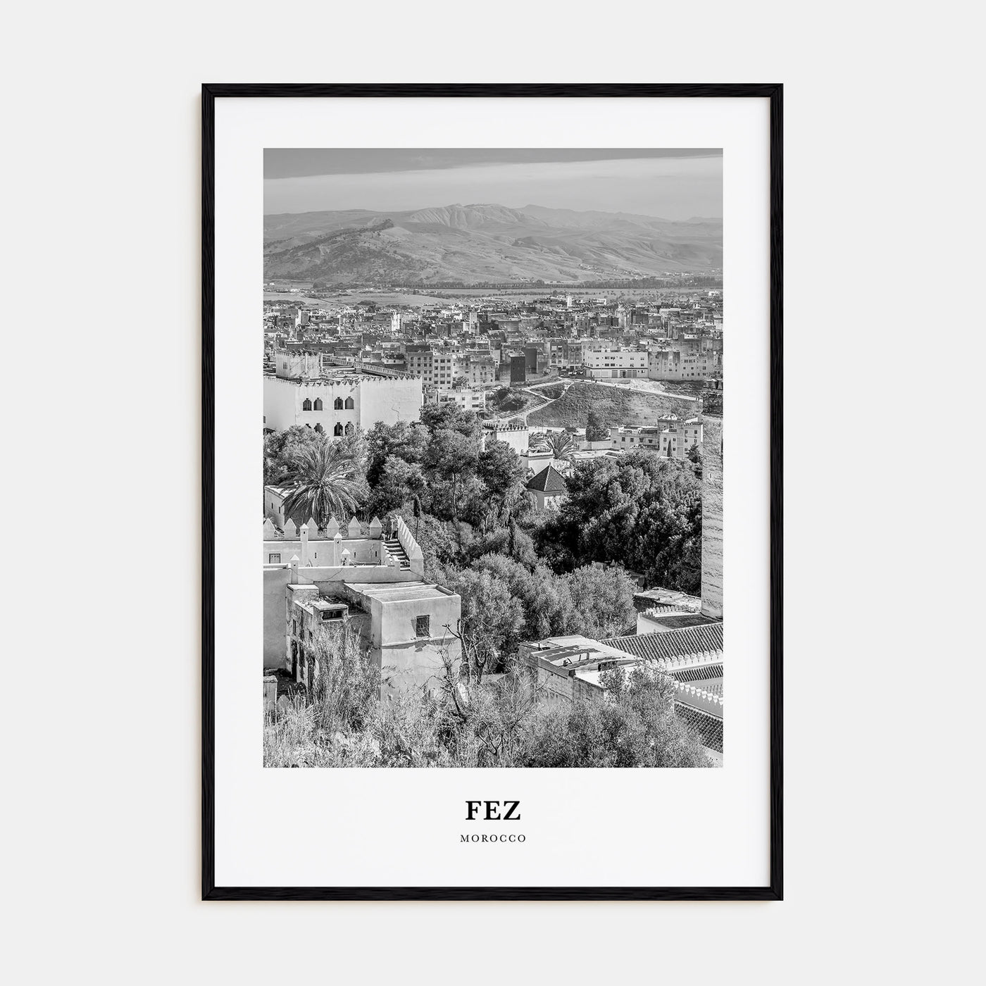 Fez Portrait B&W Poster