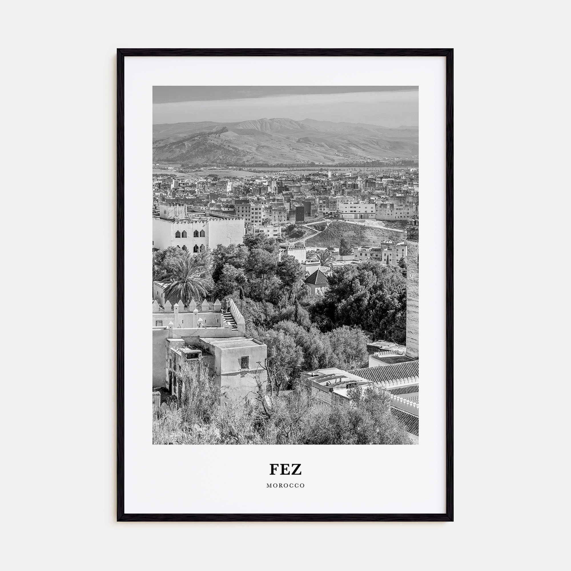 Fez Portrait B&W Poster