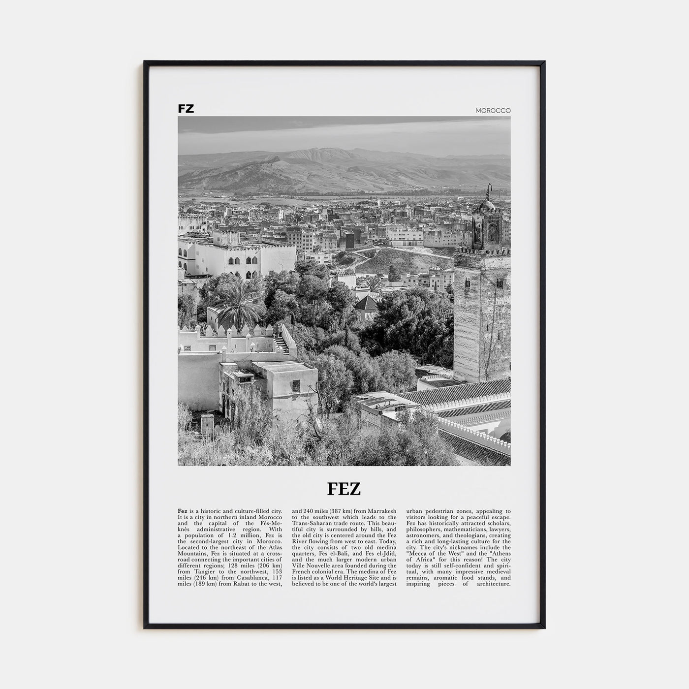 Fez Travel B&W Poster