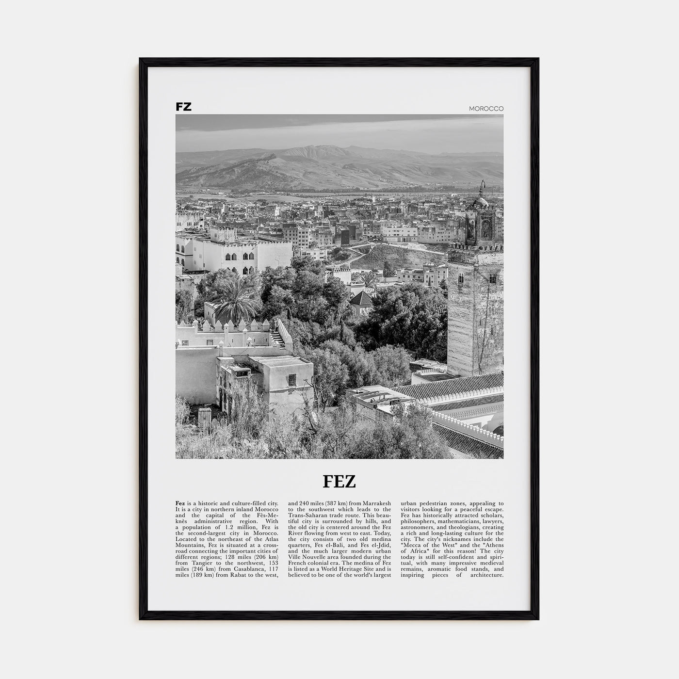 Fez Travel B&W Poster