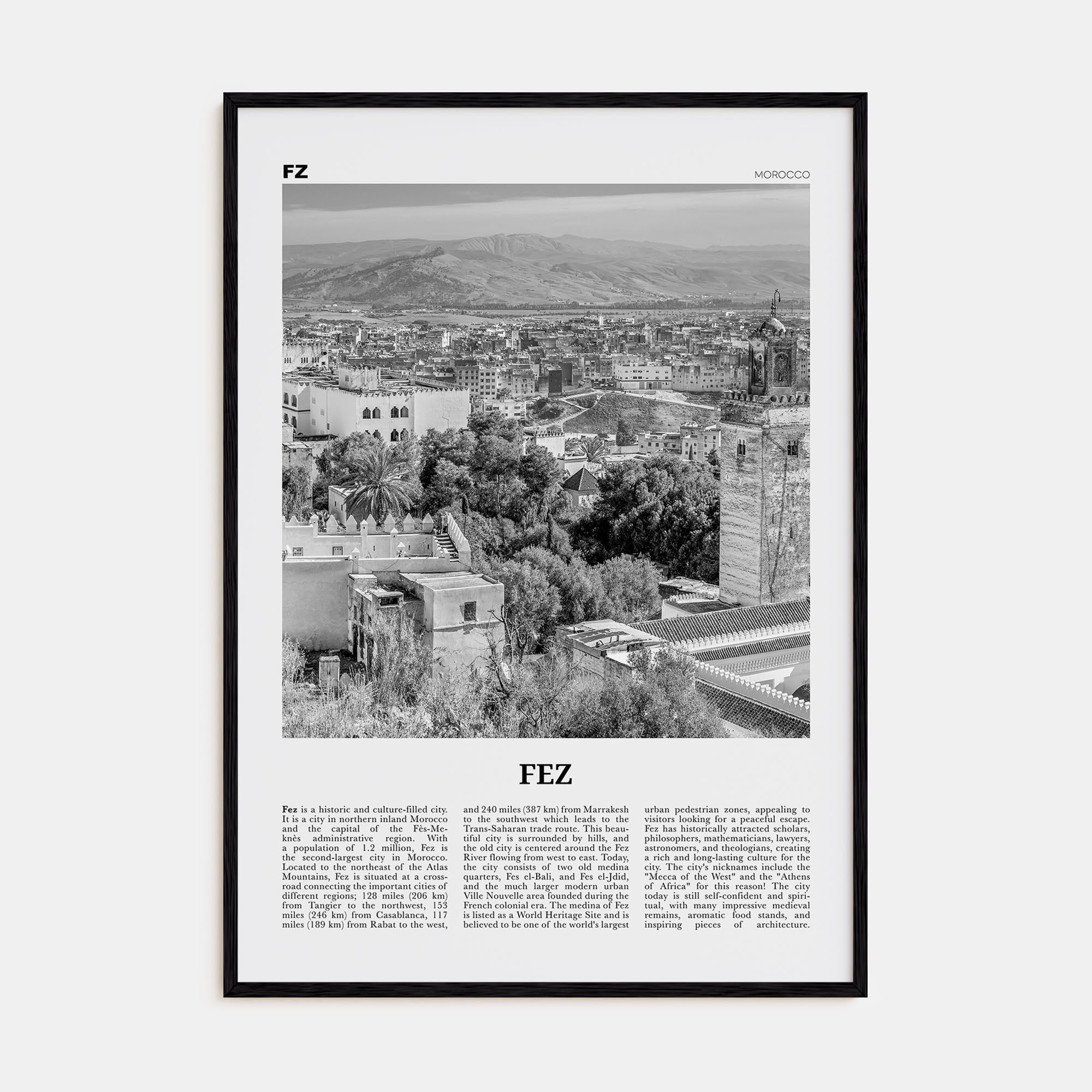 Fez Travel B&W Poster