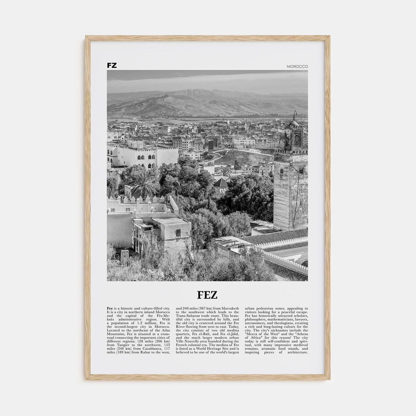 Fez Travel B&W Poster