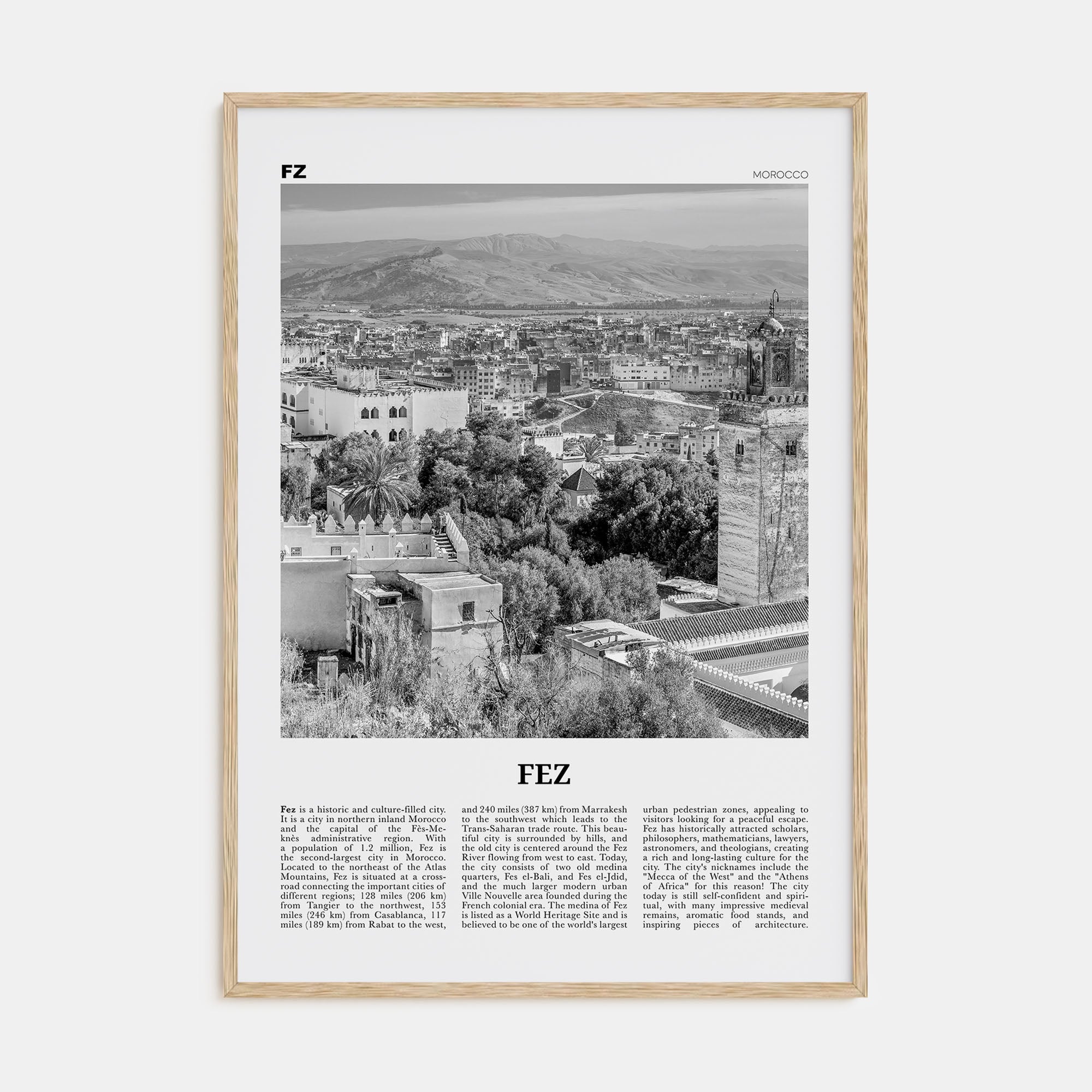Fez Travel B&W Poster