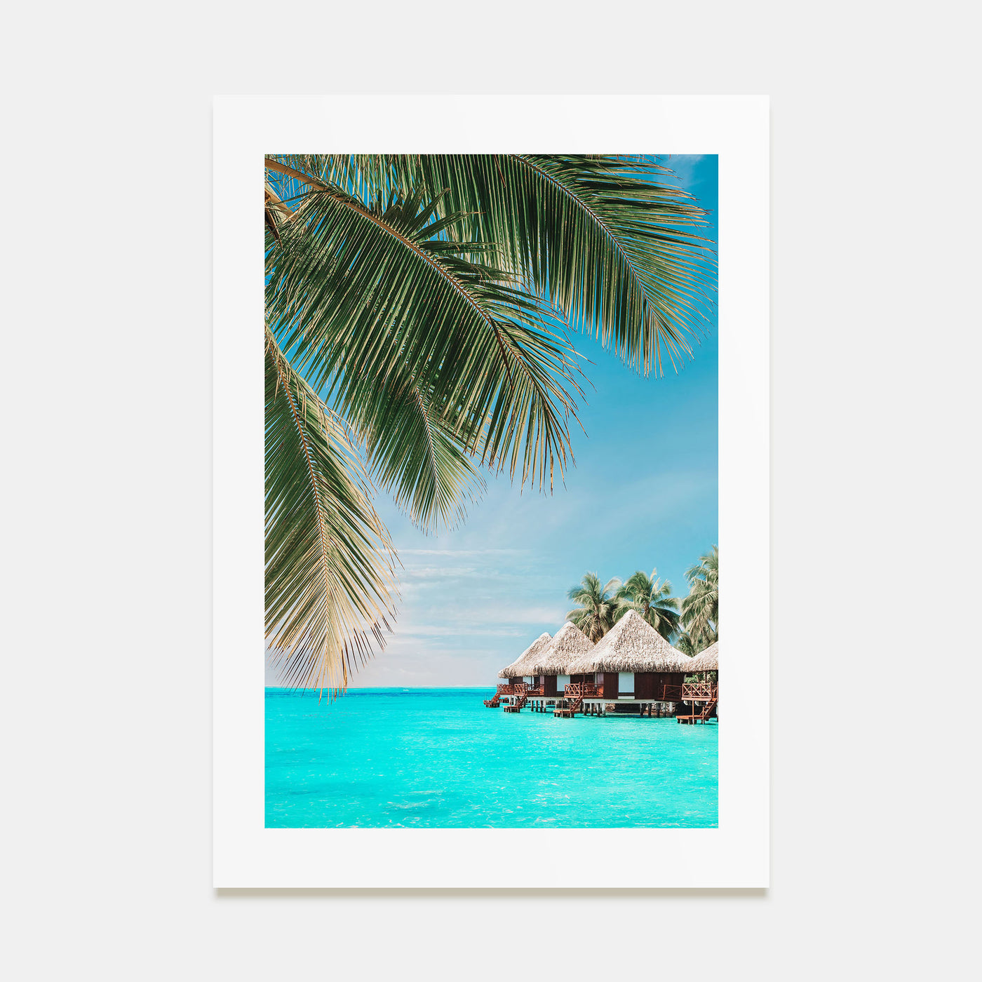 Fiji Photo Color Poster