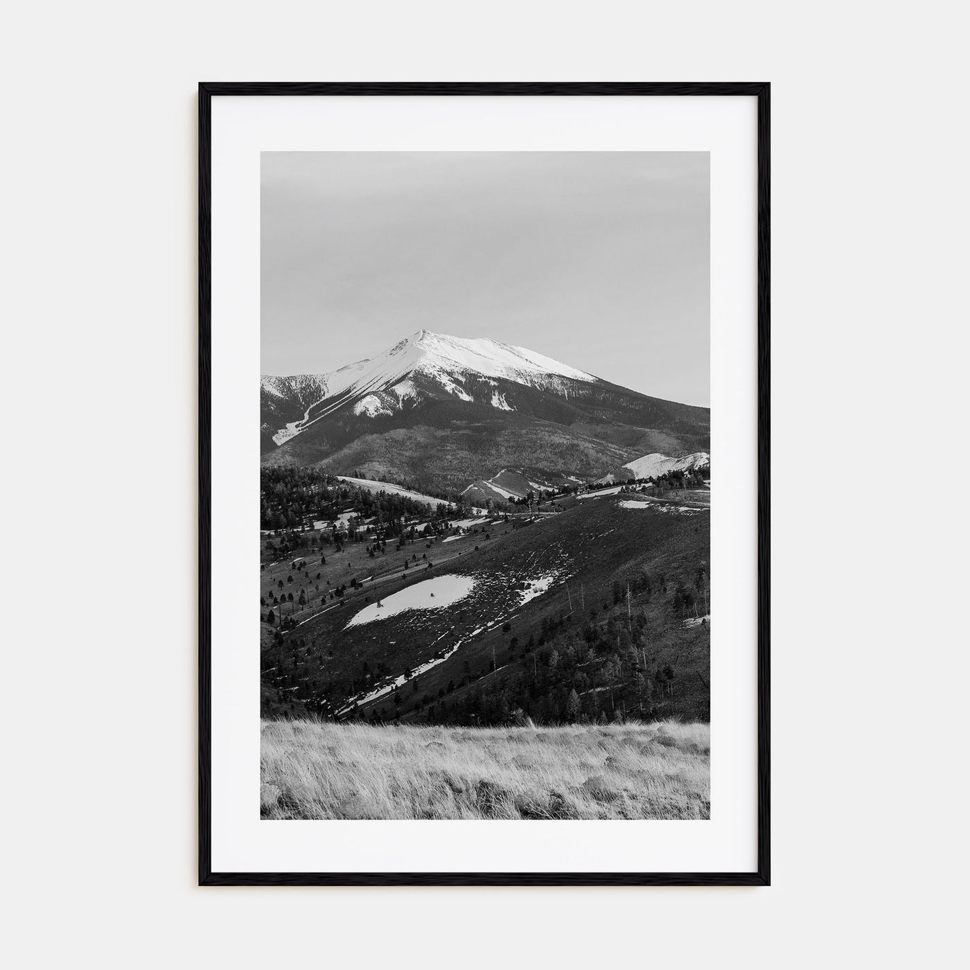 Flagstaff Photo B&W Poster