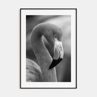 Flamingo Photo B&W Poster