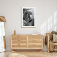 Flamingo Photo B&W Poster