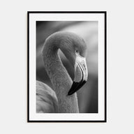 Flamingo Photo B&W Poster