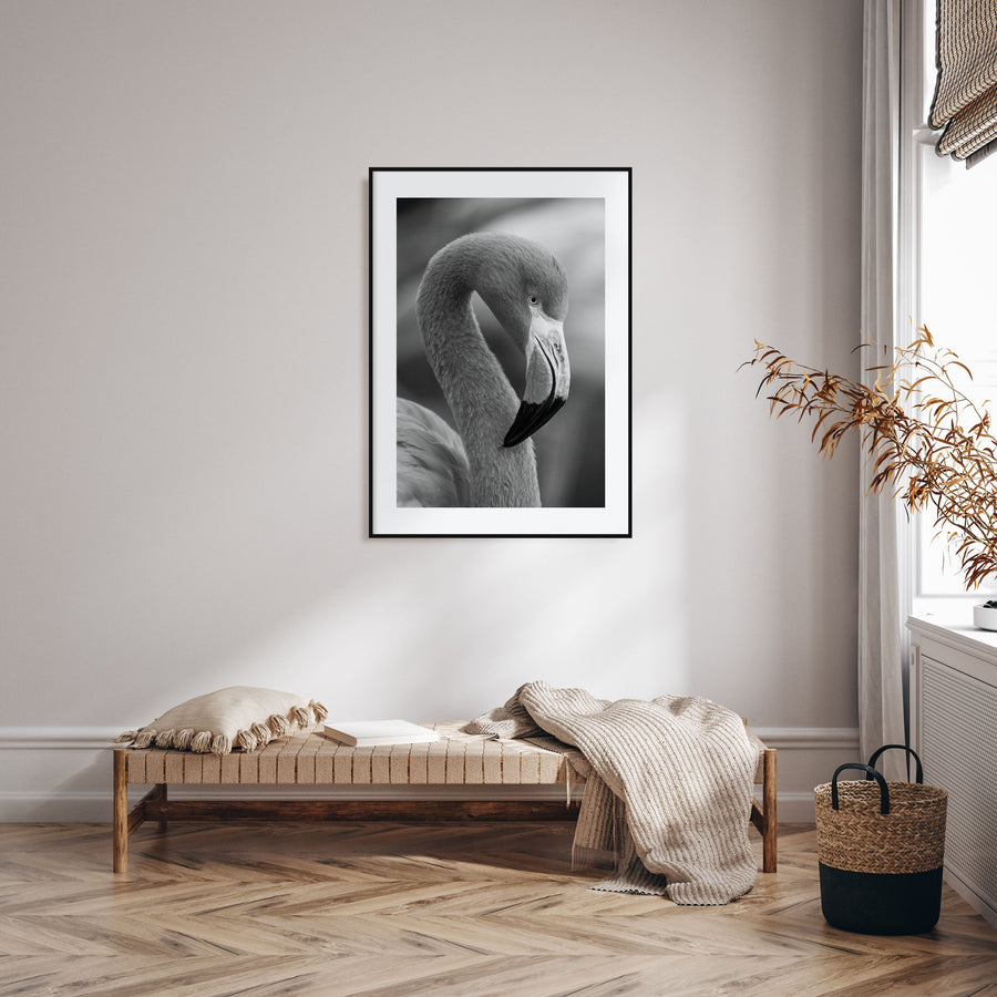 Flamingo Photo B&W Poster