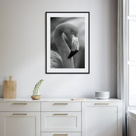Flamingo Photo B&W Poster