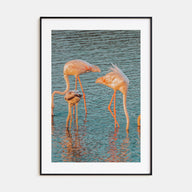 Flamingo Photo Color No 1 Poster