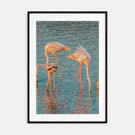 Flamingo Photo Color No 1 Poster