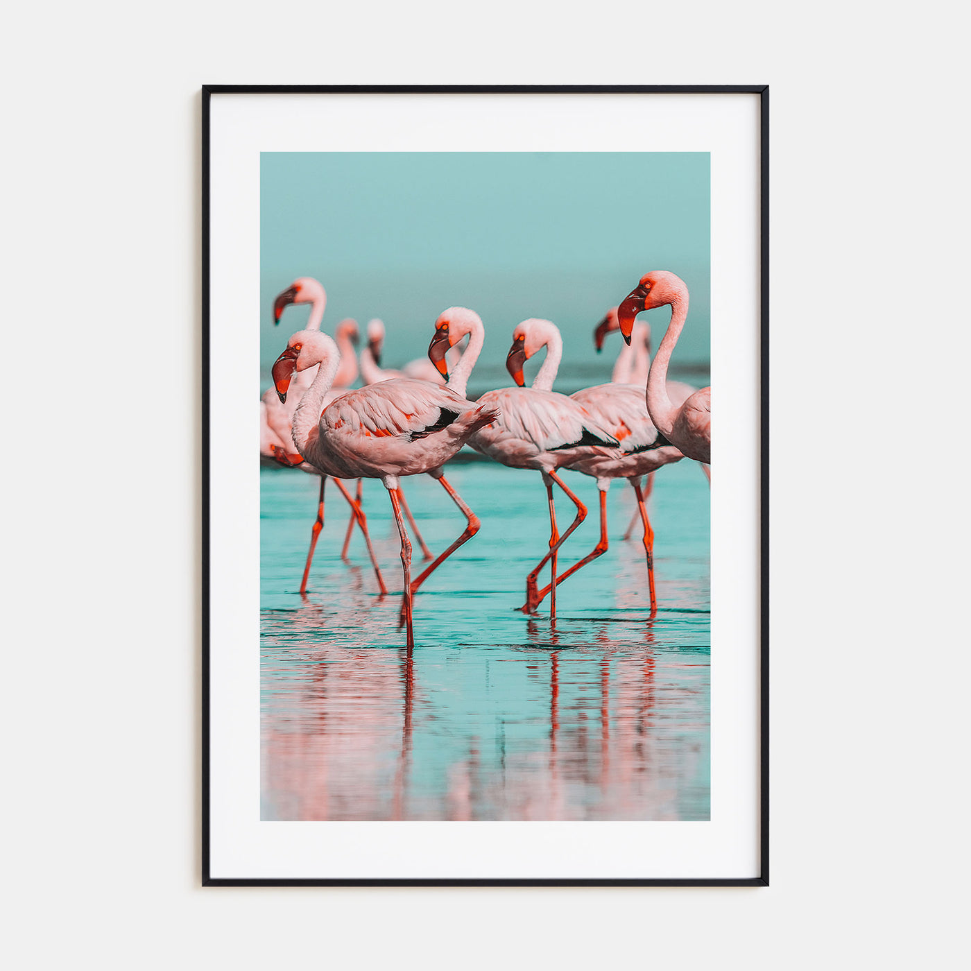 Flamingo Photo Color No 2 Poster