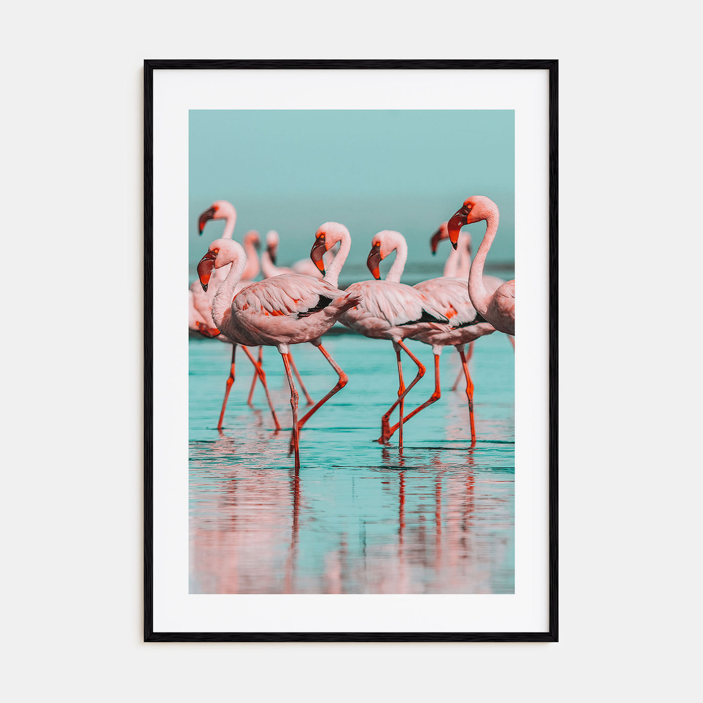 Flamingo Photo Color No 2 Poster