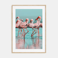 Flamingo Photo Color No 2 Poster
