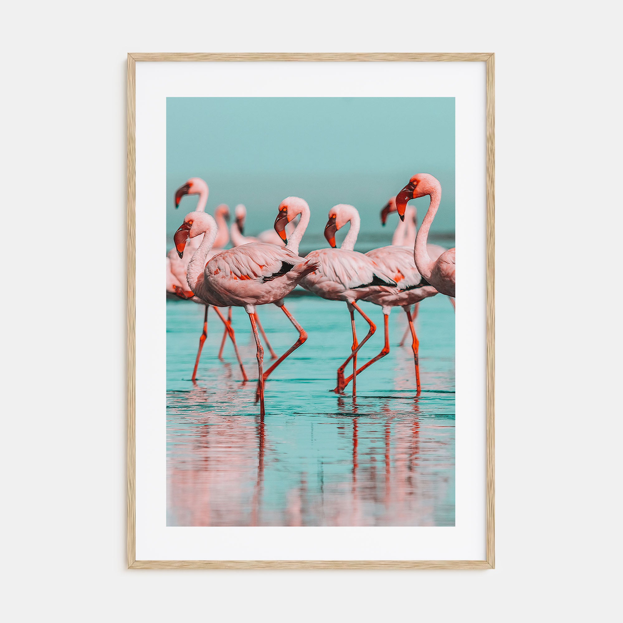 Flamingo Photo Color No 2 Poster