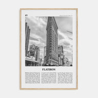 Flatiron Travel B&W Poster