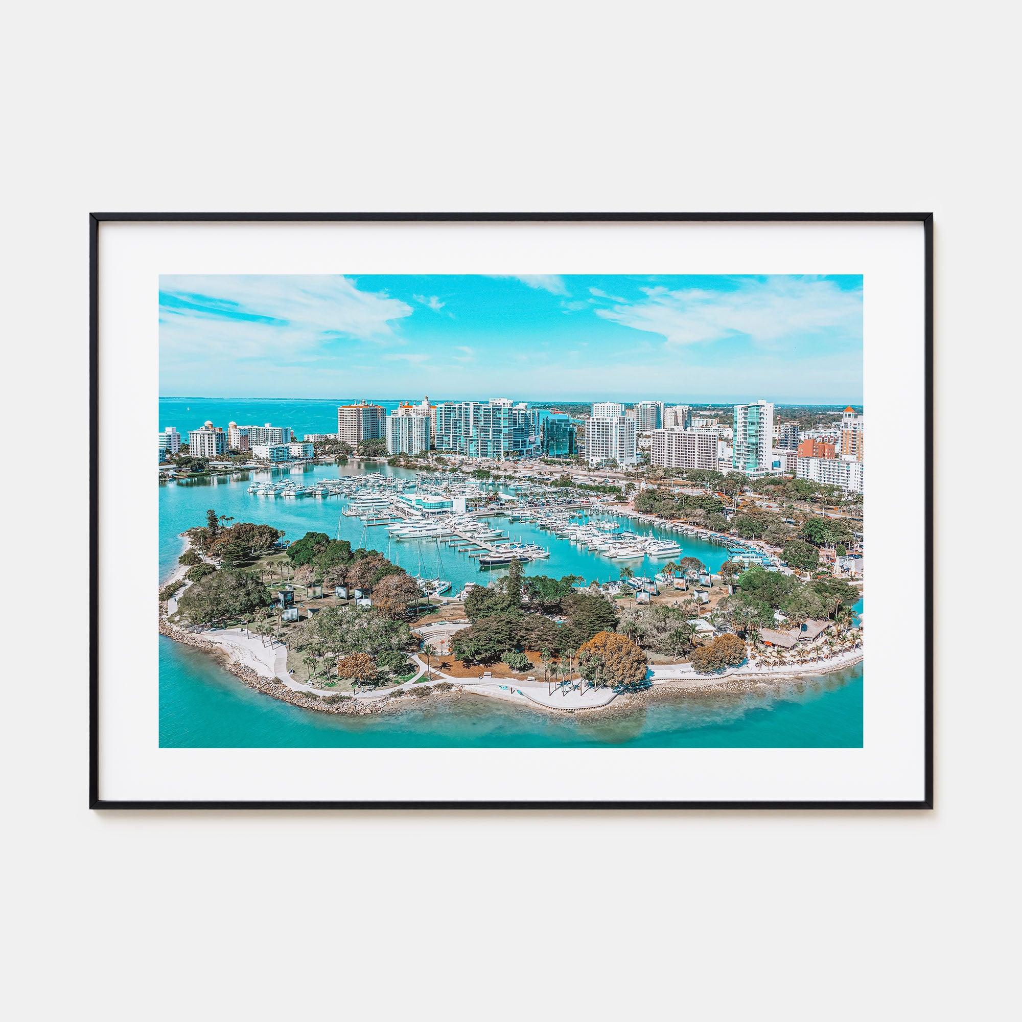 Florida Landscape Color Poster