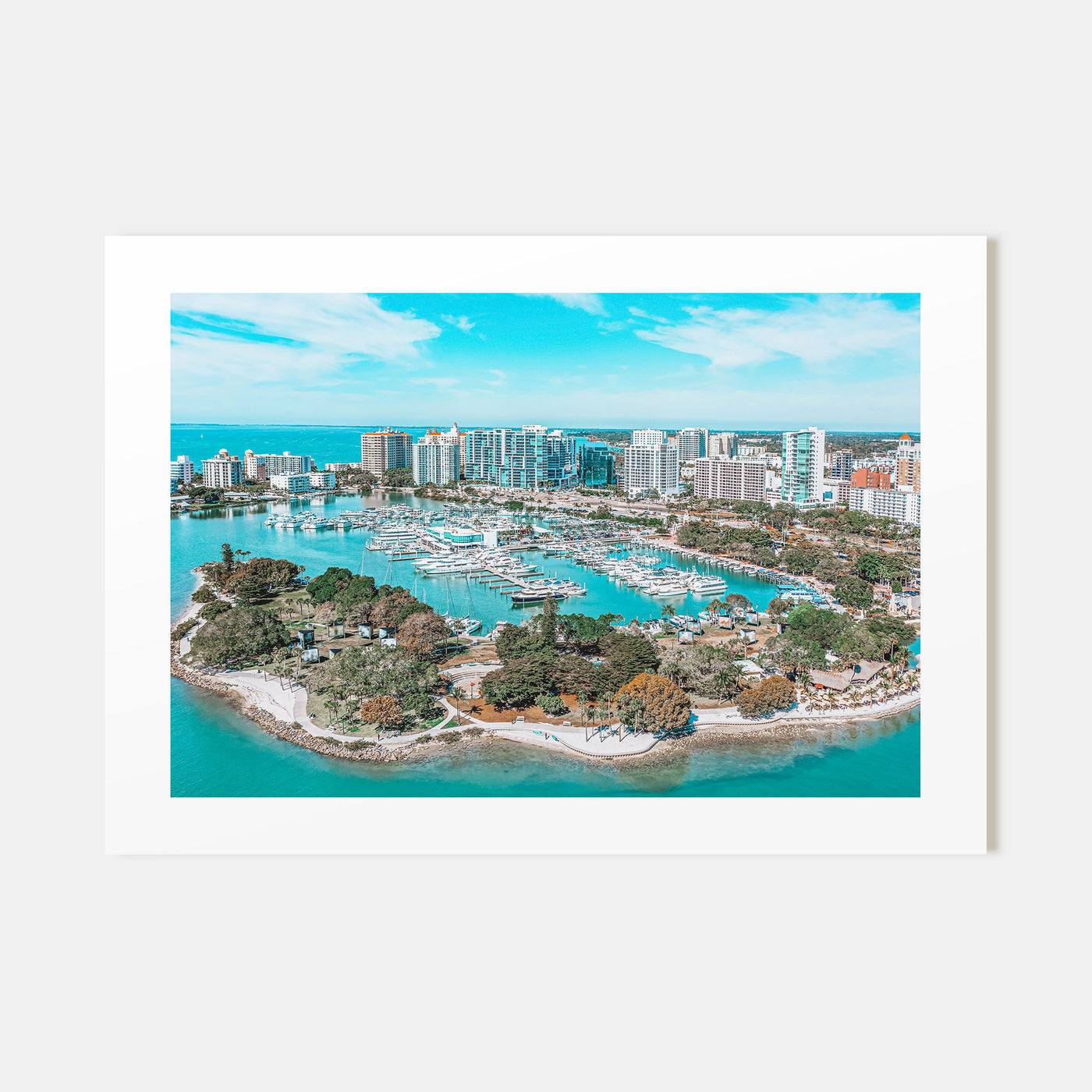 Florida Landscape Color Poster