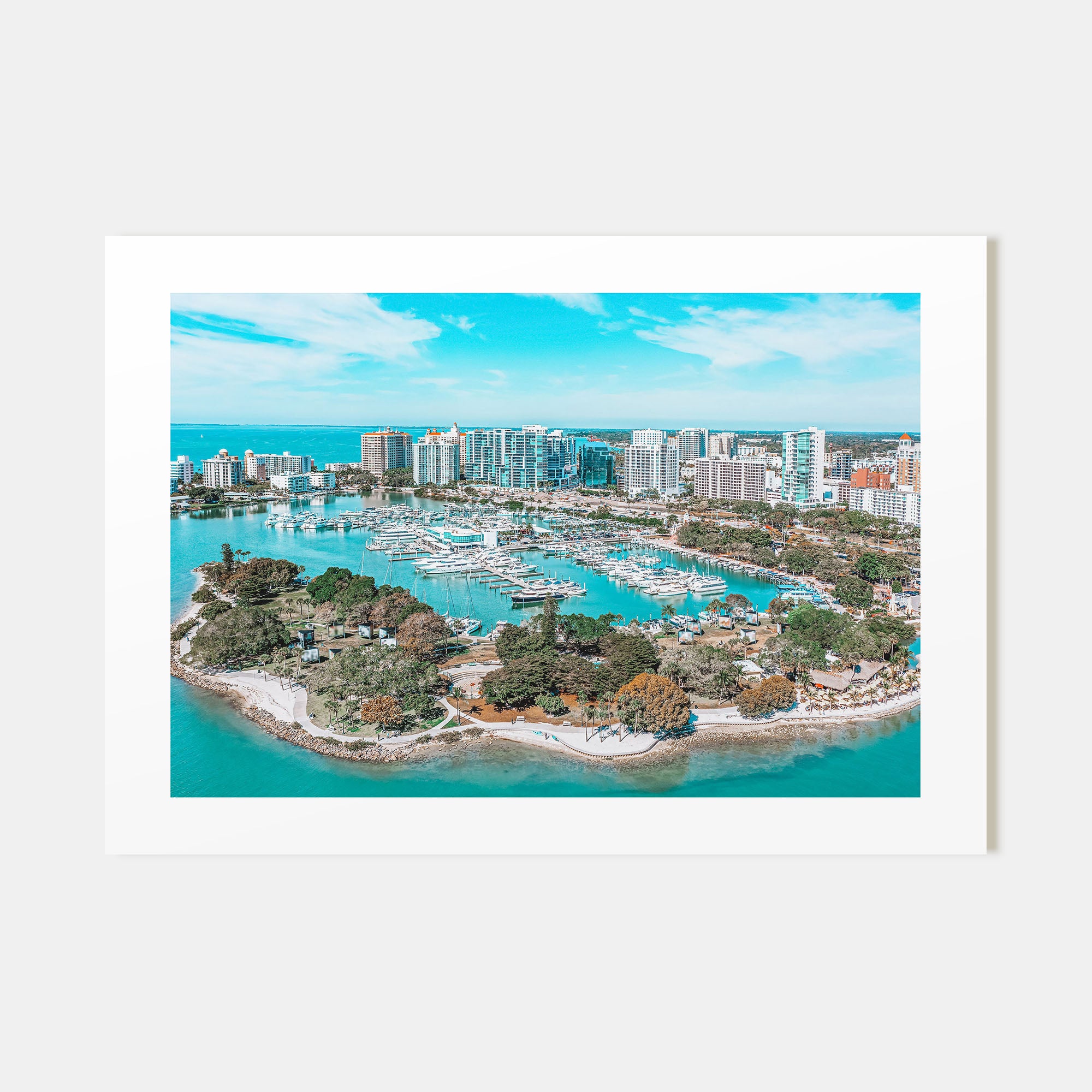 Florida Landscape Color Poster
