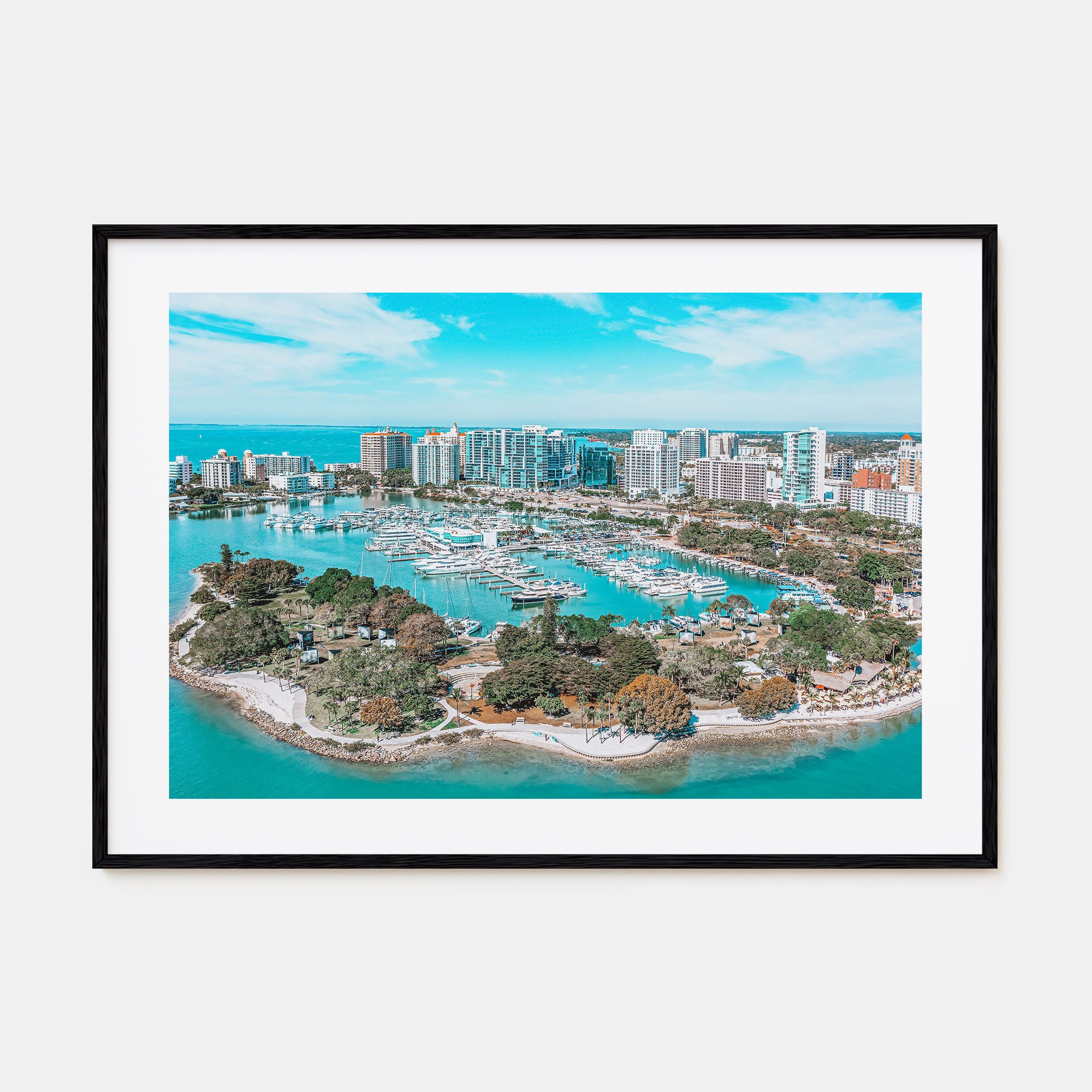 Florida Landscape Color Poster