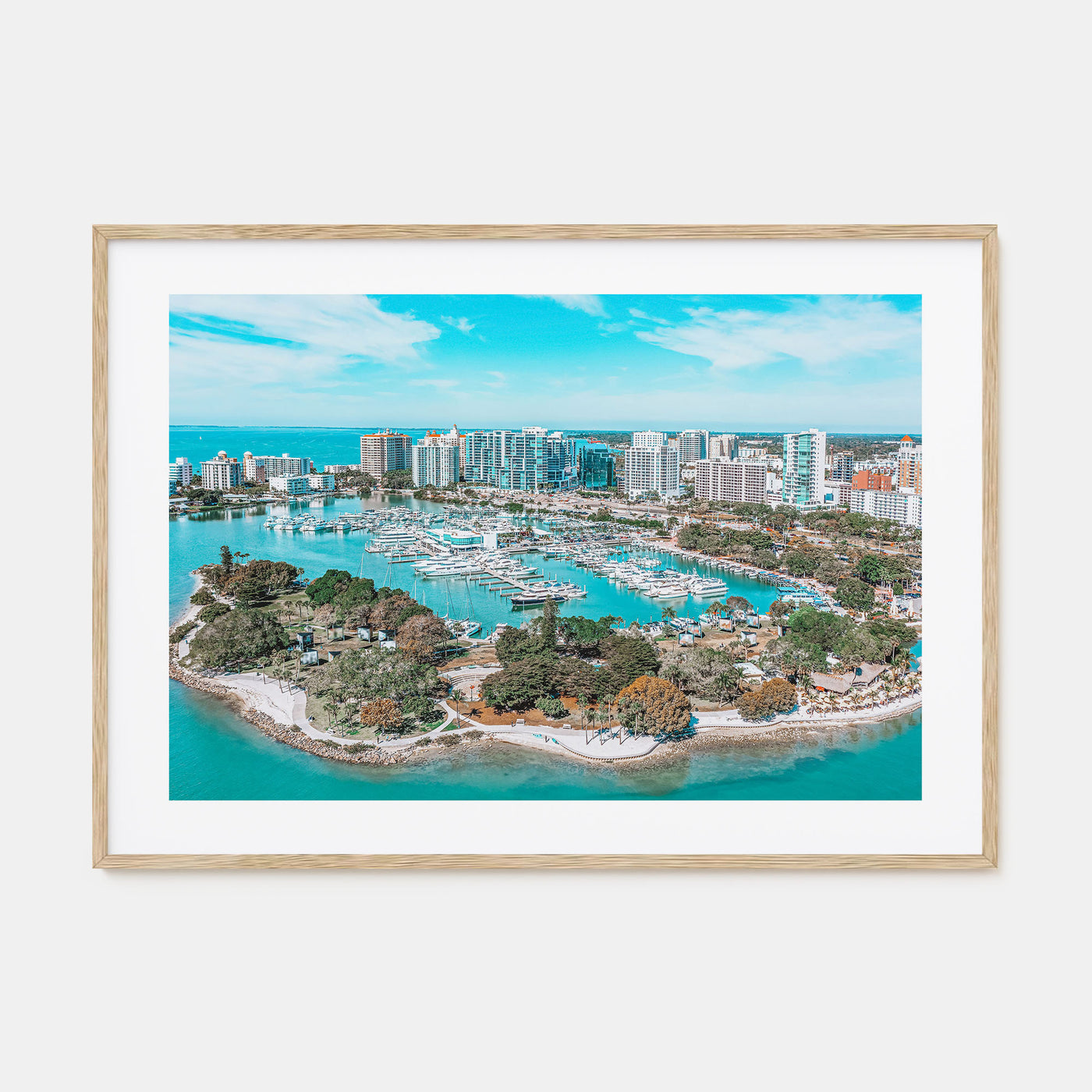 Florida Landscape Color Poster