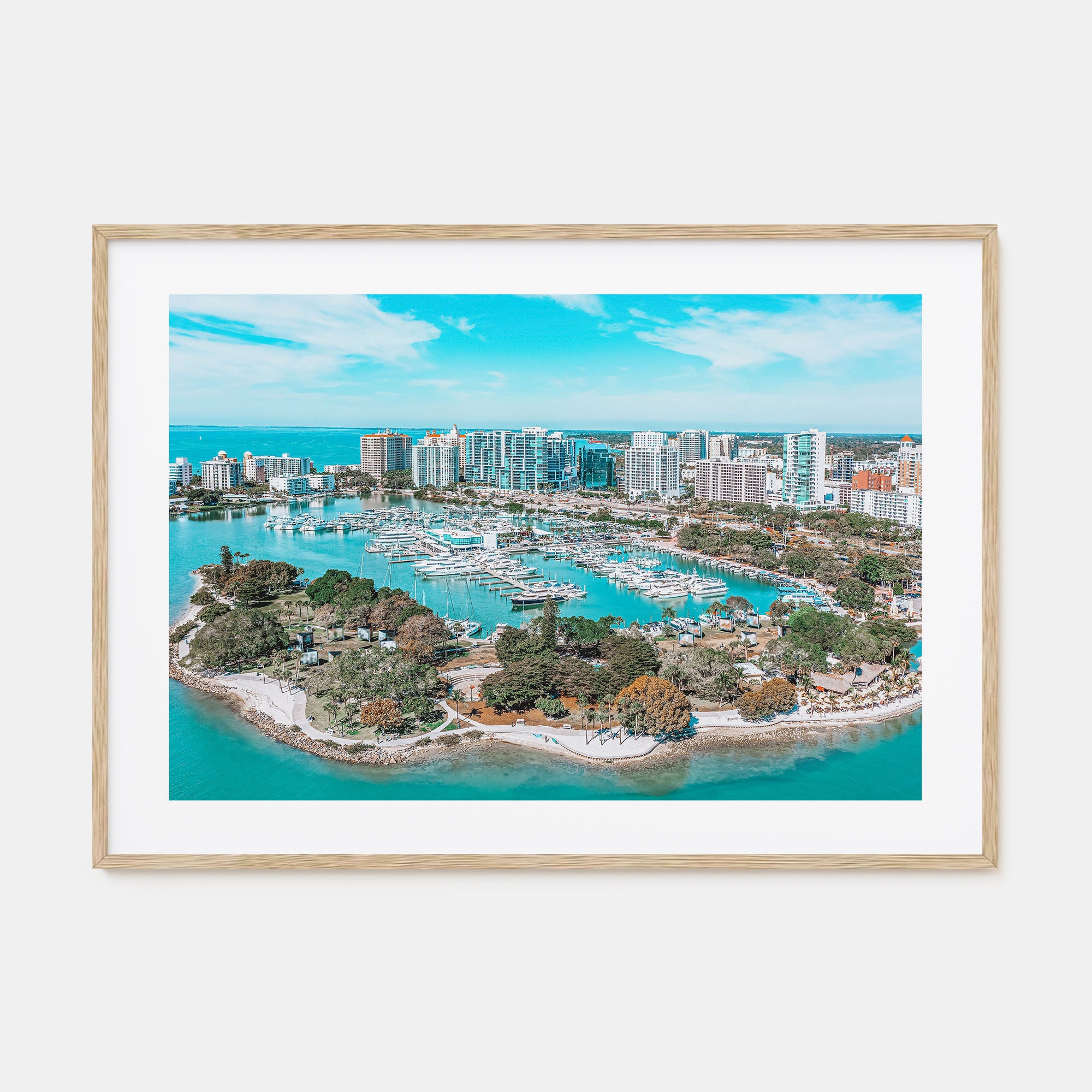 Florida Landscape Color Poster