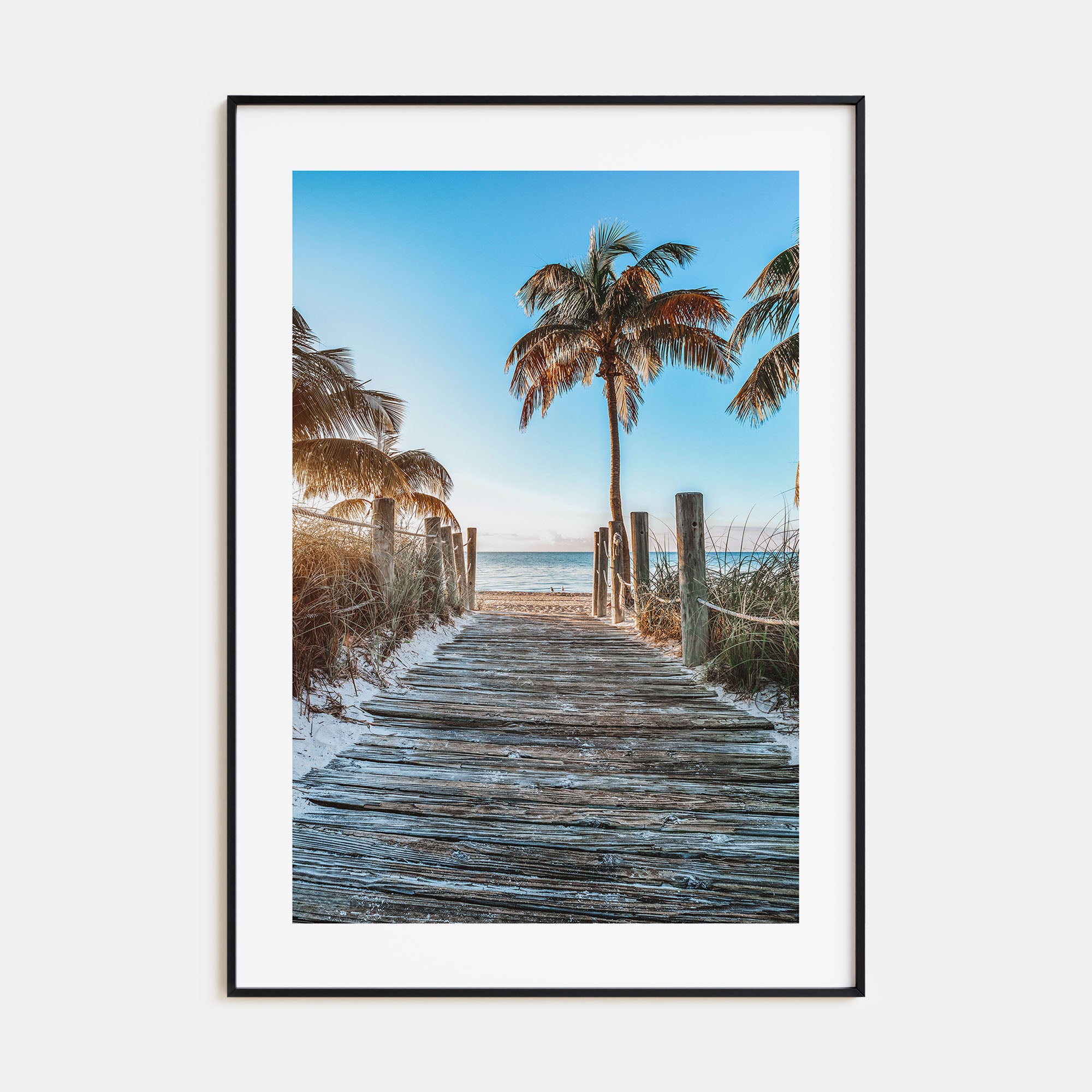 Florida Photo Color No 1 Poster