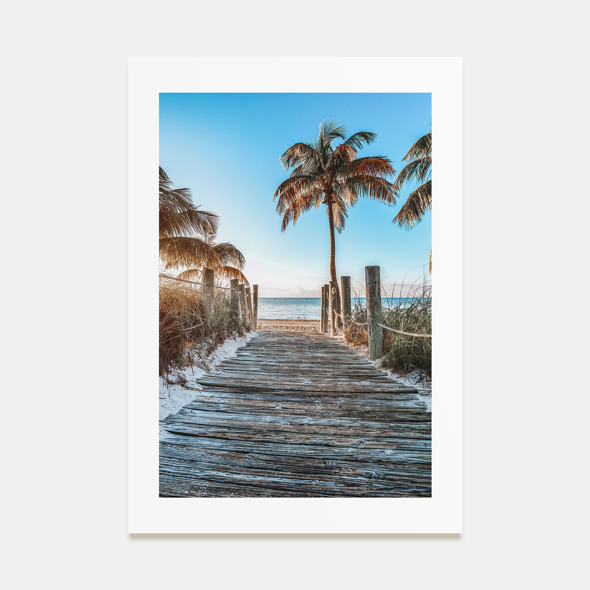 Florida Photo Color No 1 Poster