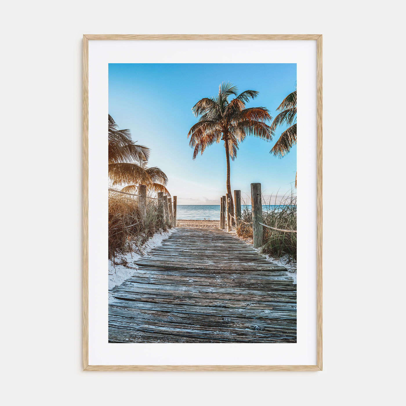 Florida Photo Color No 1 Poster