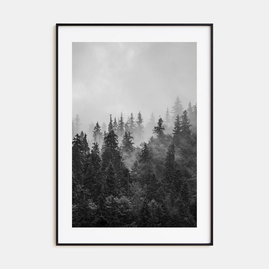 Foggy Forest Photo B&W No 1 Poster