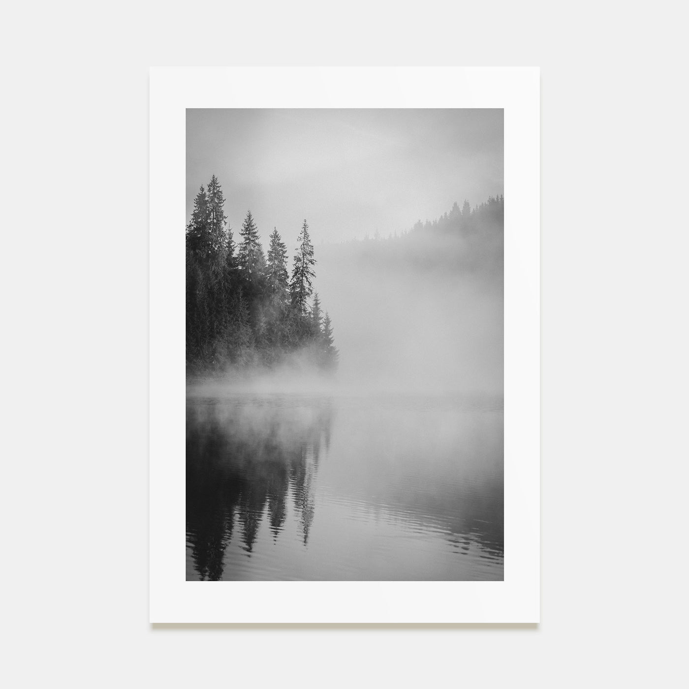 Foggy Forest Photo B&W No 2 Poster