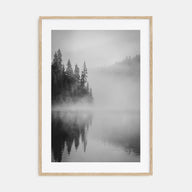 Foggy Forest Photo B&W No 2 Poster