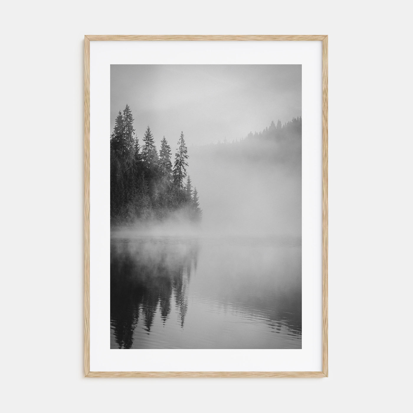 Foggy Forest Photo B&W No 2 Poster