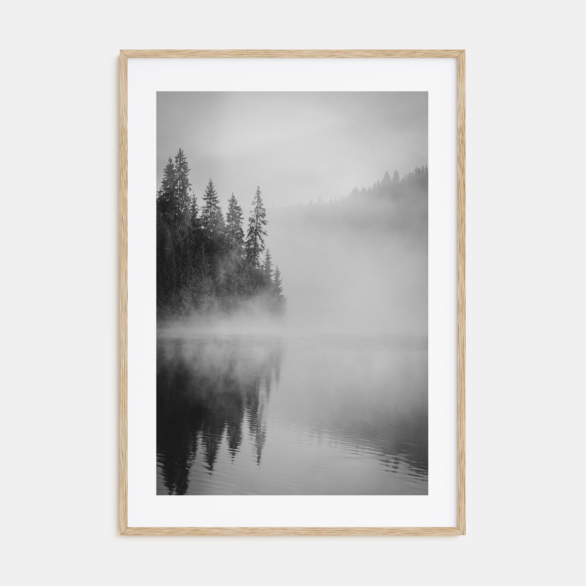 Foggy Forest Photo B&W No 2 Poster