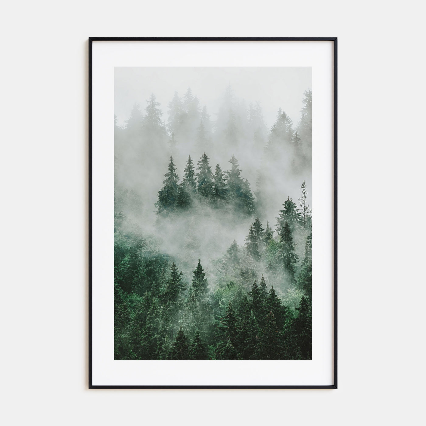 Foggy Forest Photo Color No 1 Poster