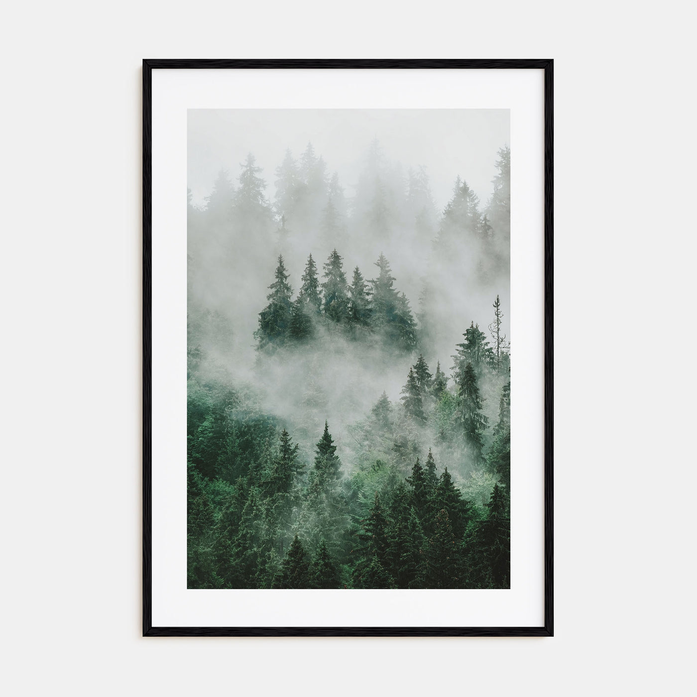 Foggy Forest Photo Color No 1 Poster