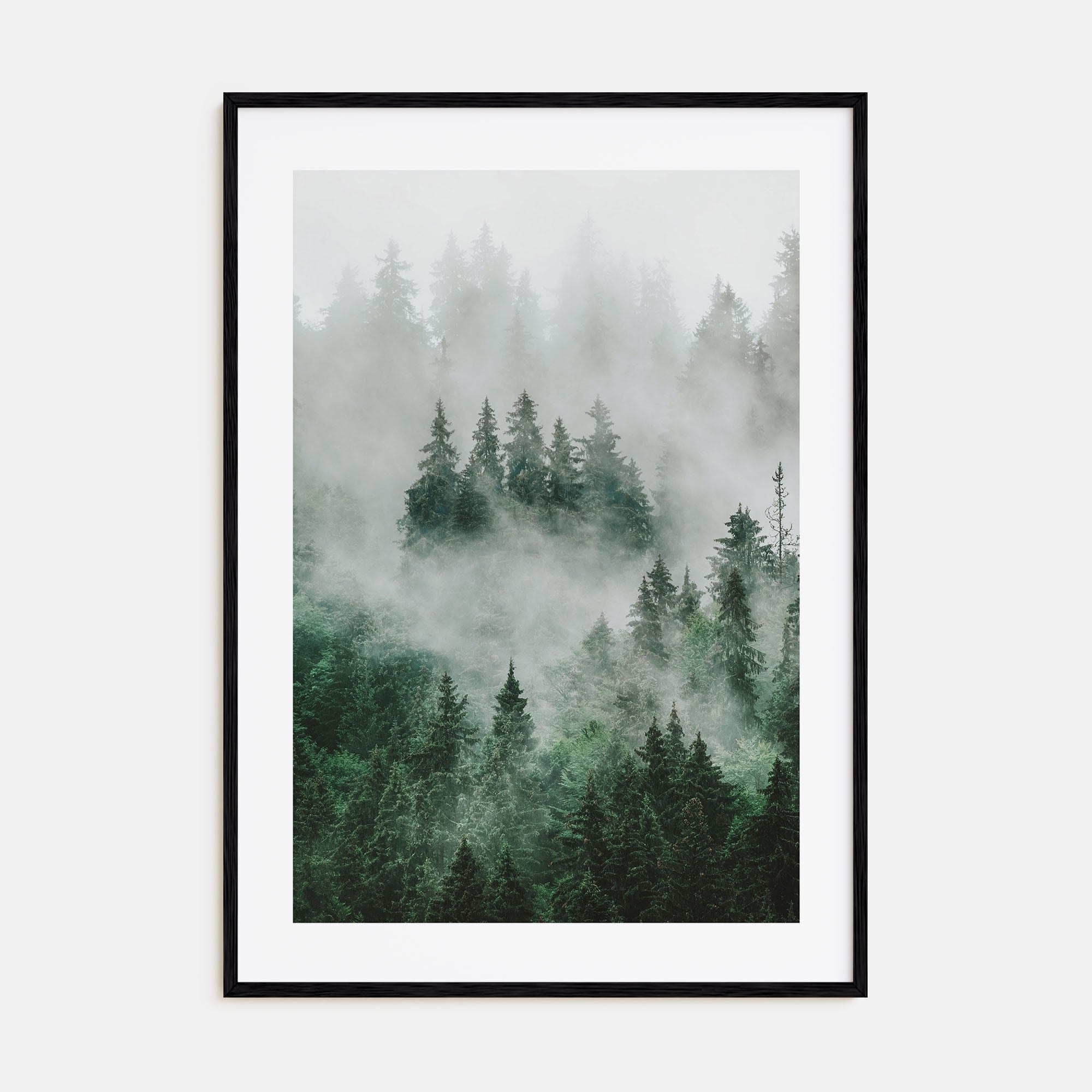 Foggy Forest Photo Color No 1 Poster