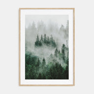 Foggy Forest Photo Color No 1 Poster