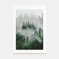 Foggy Forest Photo Color No 1 Poster
