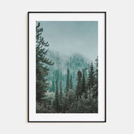 Foggy Forest Photo Color No 2 Poster
