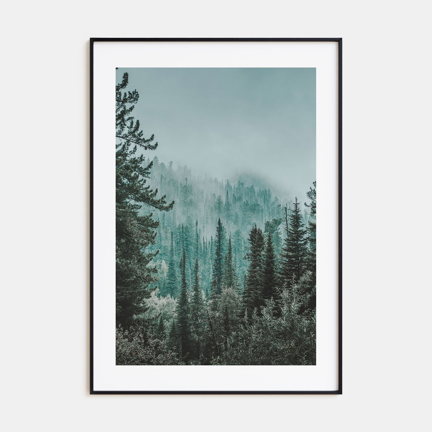 Foggy Forest Photo Color No 2 Poster