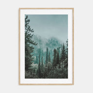 Foggy Forest Photo Color No 2 Poster