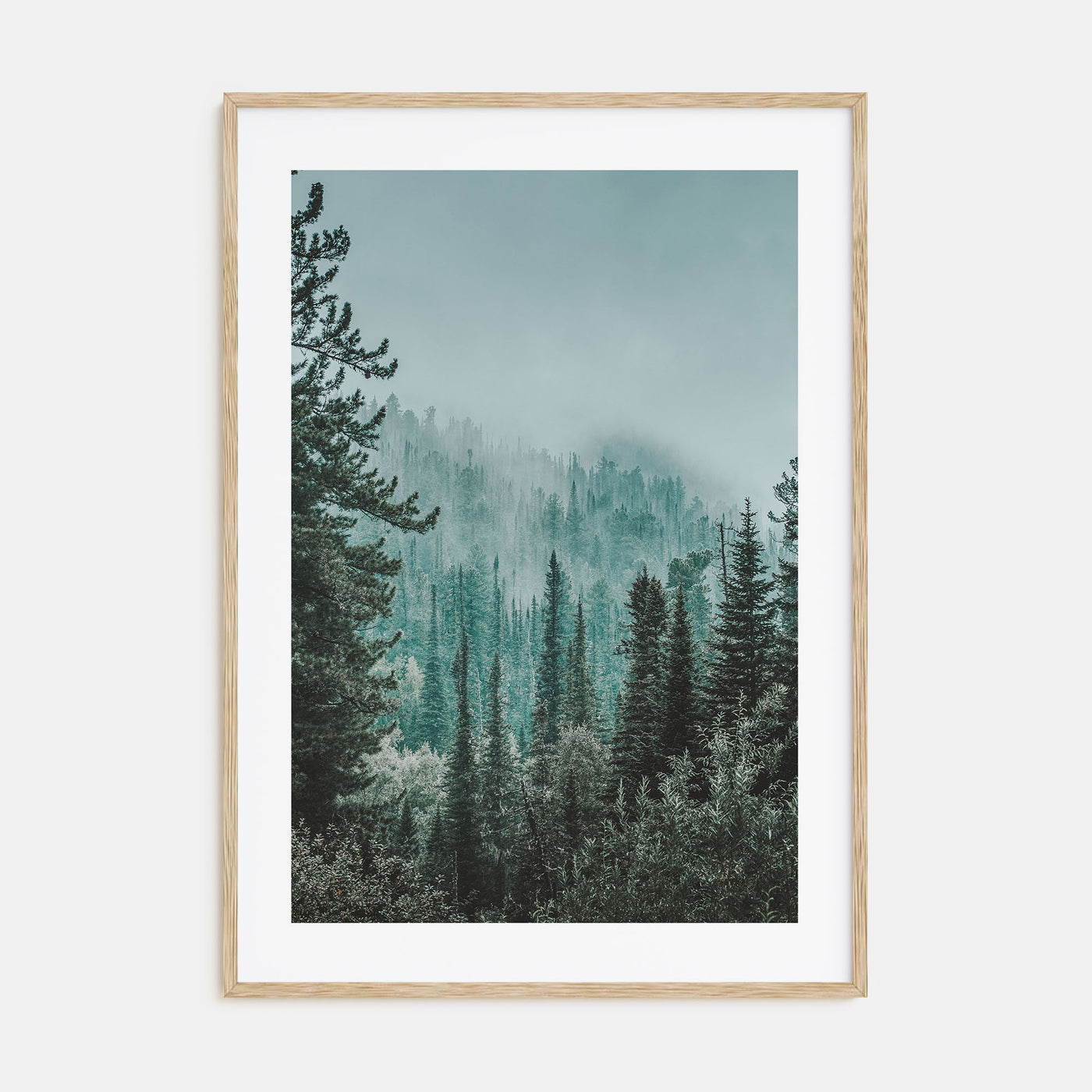 Foggy Forest Photo Color No 2 Poster