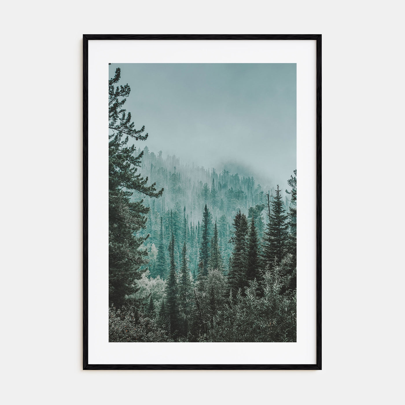 Foggy Forest Photo Color No 2 Poster