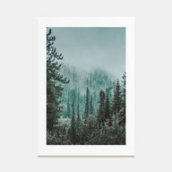 Foggy Forest Photo Color No 2 Poster